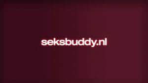 seksbuddy|SeksBuddy Review: Features, Costs & Login 